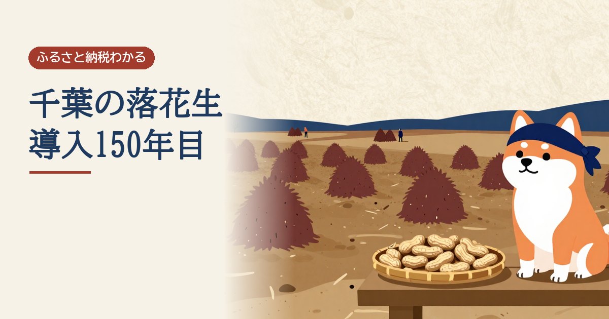 落花生を積んで干す畑の前の台で、殻つきの落花生を盛った竹ざるの横に座るはちまきの柴犬