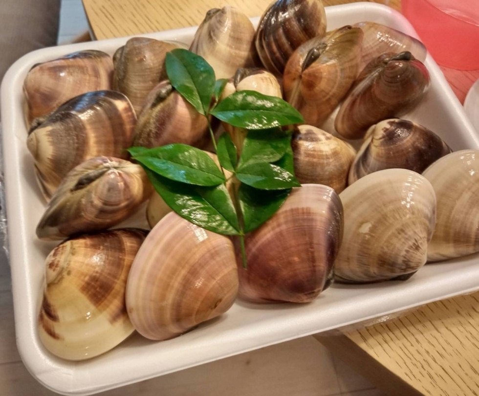 はまぐりアップ